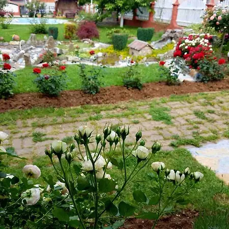 Rose Affittacamere 3*