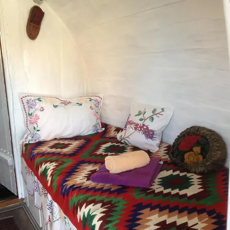 Rose Guest house